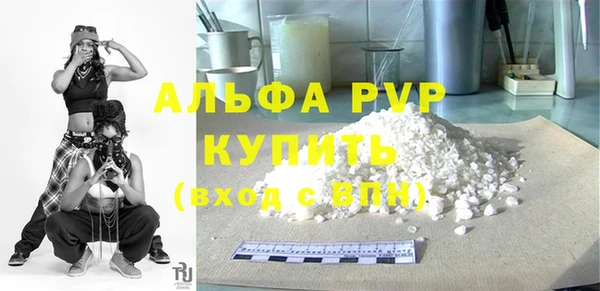 гашик Няндома
