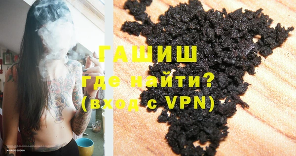 гашик Няндома